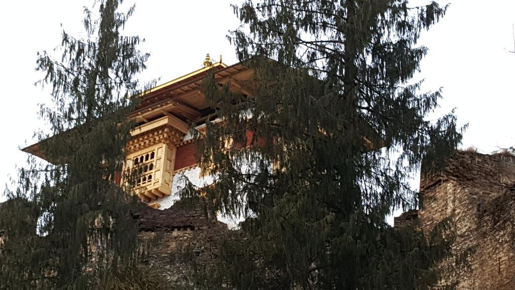 Rema Resort Paro Luaran gambar